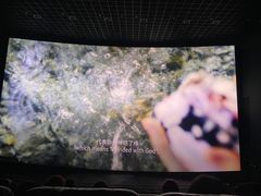 -寰映影城(大融城激光IMAX店)
