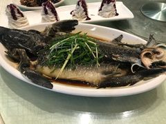 清蒸鲟鱼-香融府·烤鸭·家常菜(马家堡路店)