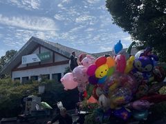 -顾村公园3号门停车场