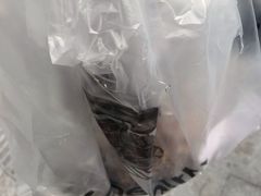 -UH祐禾(光谷世界城店)