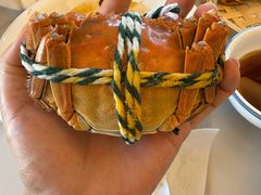 -丫丫蟹庄·苏式园林农家乐·阳澄湖大闸蟹(阳澄湖莲花岛店)