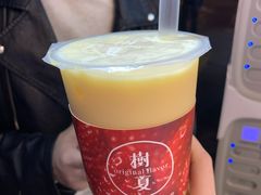-树夏(建设路店)
