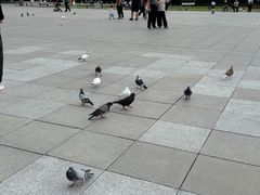 -大连人民广场