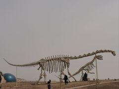 -二连浩特国家地质公园