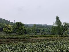 -北高峰