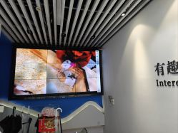 -神奇动物撸宠馆·羊驼·小浣熊·异宠(豫园店)