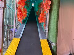 -石燕湖生态旅游景区