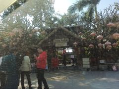 -园林美食城·本土农家菜(杨和镇店)