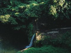-鼎湖山风景区
