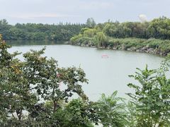 -西安浐灞国家湿地公园