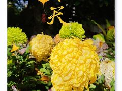 -汇龙潭