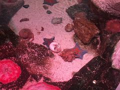 -沈阳海洋探索中心