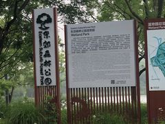 -东郊湿地公园