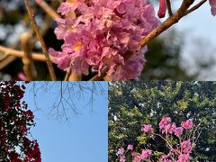 -人民公园(罗湖区)