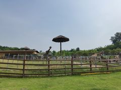 -黄龙溪欢乐田园
