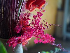 -春暖花开(西溪店)