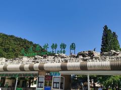 -大连森林动物园