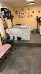 -马克叔叔儿童理发形象设计