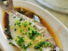-区海鸡场饭店(石壁店)