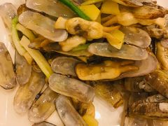 -中国饭店-餐厅