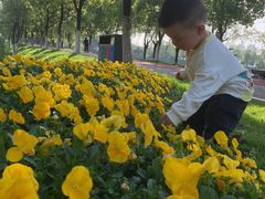 -艾溪湖湿地公园