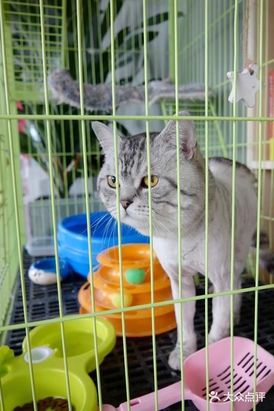 #不分享，只私藏#城市特辑——探秘重庆民宿