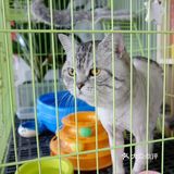 #不分享，只私藏#城市特辑——探秘重庆民宿