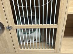 -谐和贝康宠物医院24小时·宠保定点(急重症转诊中心)