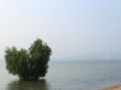 -深圳湾公园(南山区)
