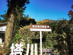 -塔川景区