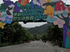 -西安秦岭野生动物园