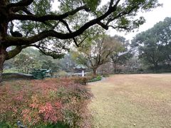 -申粤轩酒楼·三十年粤菜经典(丁香花园店)