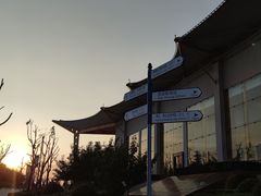 -郑州西亚斯学院-体育学院