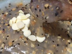 -阿木舂记·特色小吃(平江路店)