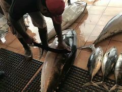 -尼甘布海鲜市场