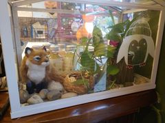 -狐狸家·酸奶酪专门店(平江路店)