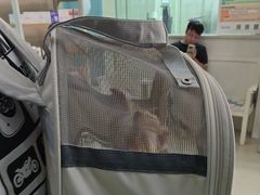 -瑞鹏·疫苗·绝育·宠物医院(金沙洲店)