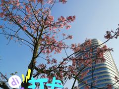 -渔语鱼酸菜鱼新川菜(来福士店)