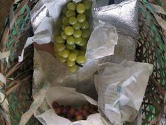 -马陆小张葡萄园农家乐