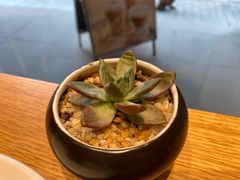 -Peet's Coffee皮爷咖啡(豫园店)