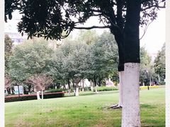 -常州古运河南大街文化旅游区-人民公园