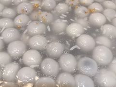 -老绍兴养和饭店(向阳不夜城店)