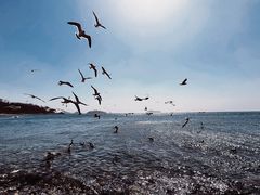 -银沙滩浴场