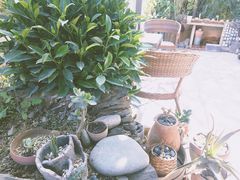 -云里小坐·小院里·团建·宴请·下午茶(三圣乡店)