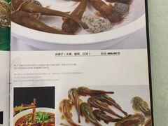 -高坎一品甲鱼庄(两河店)
