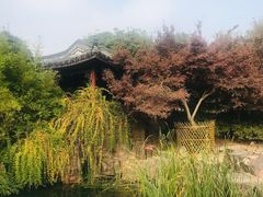 -虞山城墙