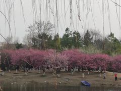 -武汉园博园(武汉自然博物馆)
