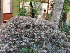 -阳光山水江湖菜馆(西山龙门店)