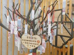 -茶颜观色(晋江店)