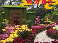 -共青国家森林公园-售票处